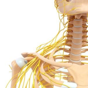 Subluxation-vertebrale-douleur-arthrose - Chiropracteur Paris 16 Blocage-irritation-nerfs-douleur-arthrose
