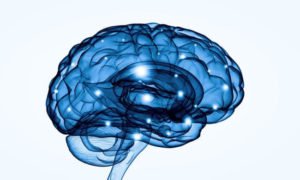 cerveau-neurologie-fonctionnelle-troubles-neurologiques - Chiropracteur Paris 16 Cerveau et neurologie fonctionnelle
