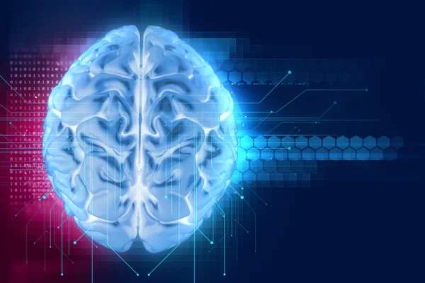 La manipulation vertébrale agirait bien sur le fonctionnement du cerveau
